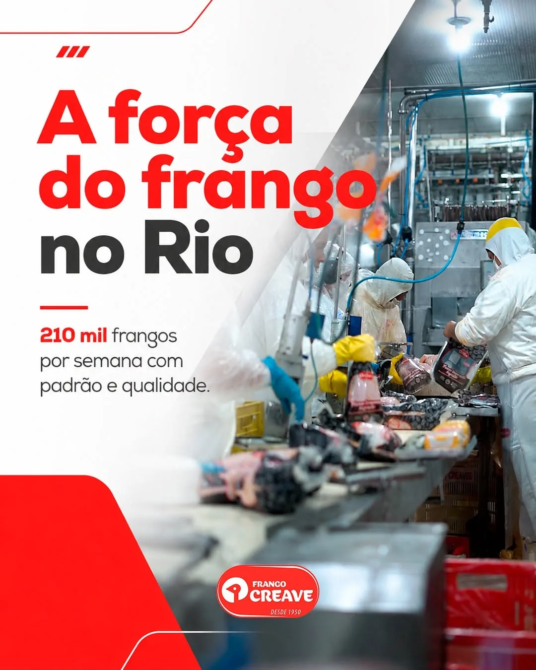 Linha de produção Franco Creave